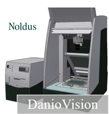 Danio Vision