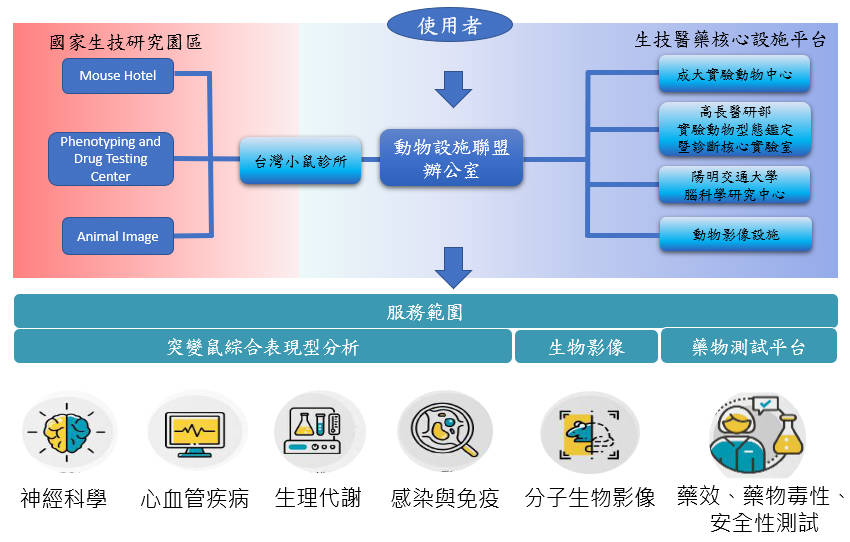 台灣動物設施聯盟架構圖