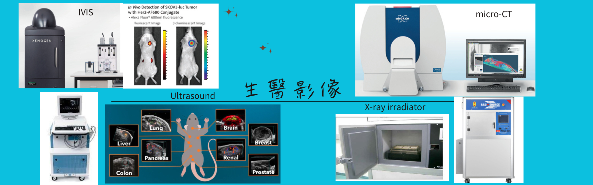 中心網頁廣告_委託試驗3